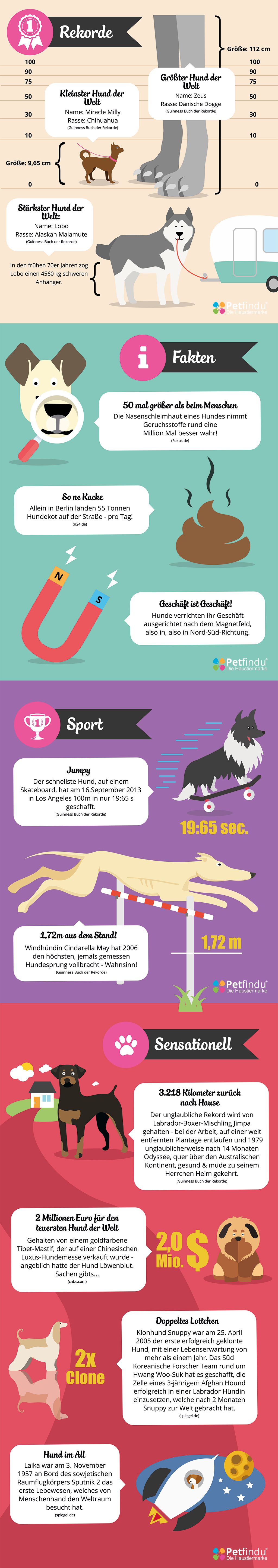 Die 12 kuriosesten Fakten über Hunde Petfindu Blog